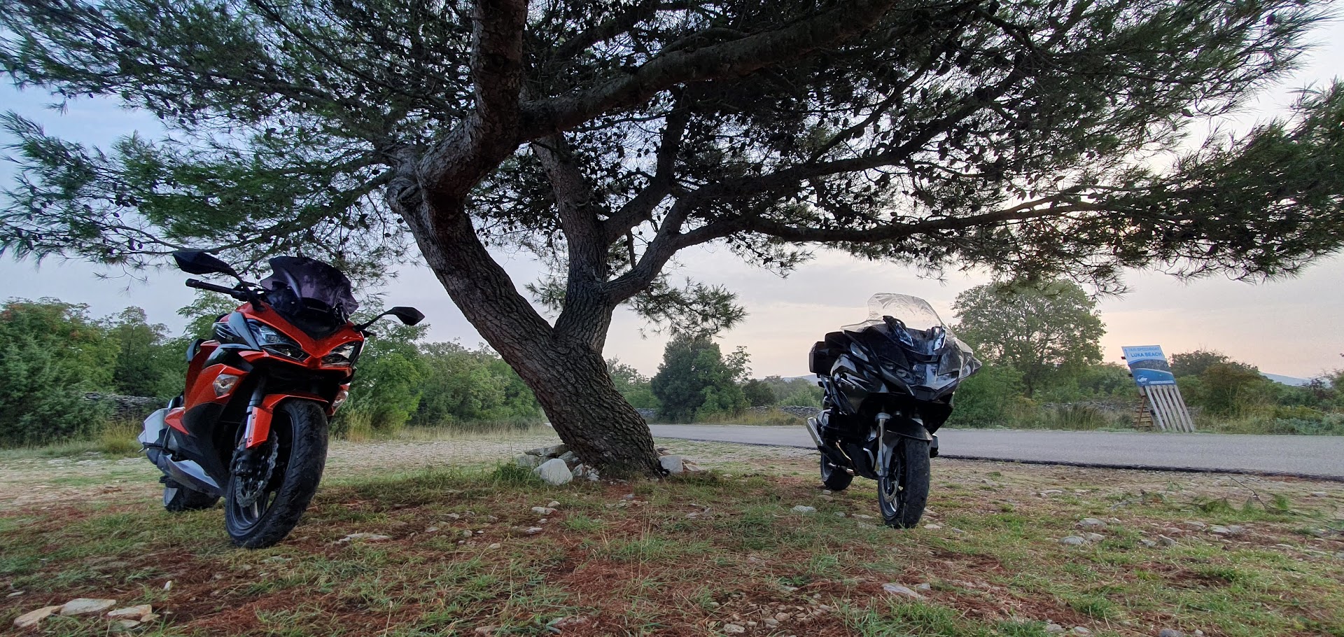 The lonly Tree and the Bikerider